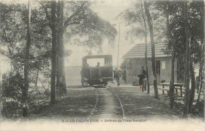 CPA FRANCE 17 " La Tremblade " / tramway