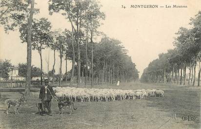 CPA FRANCE 91 " Montgeron " / mouton
