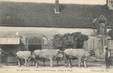 CPA FRANCE 28 "En Beauce, Attelage de boeufs"