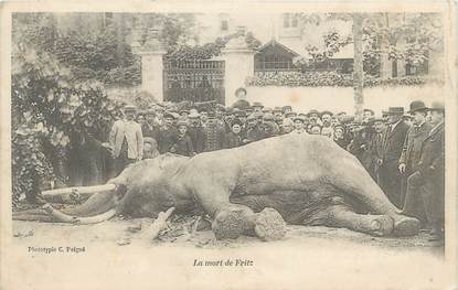CPA FRANCE 37 "Tours, la mort de l'éléphant Fritz"