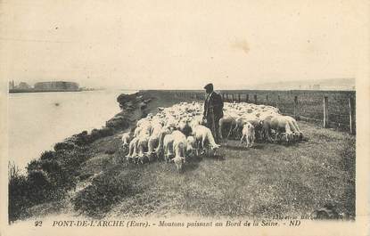 CPA FRANCE 27 "Pont de l'Arche, moutons "