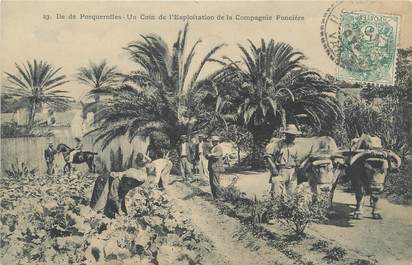 CPA FRANCE 83 "Ile de Porquerolles, exploitation de la compagnie foncière"