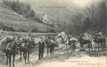 CPA FRANCE 66 "Muletiers, transporteur de bois"