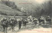 66 PyrÉnÉe Orientale CPA FRANCE 66 "Muletiers, transporteur de bois"