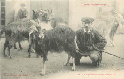 CPA FRANCE 31 "Le chevrier et son troupeau"