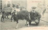 31 Haute Garonne CPA FRANCE 31 "Le chevrier et son troupeau"