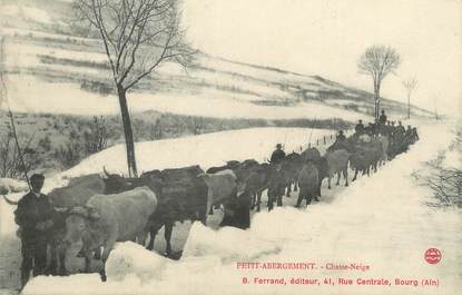 CPA FRANCE 01 "Petit Abergement, le Chasse neige"