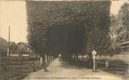 91 Essonne CPA FRANCE 91 " Soisy sous Etiolles, avenue Chevalier "