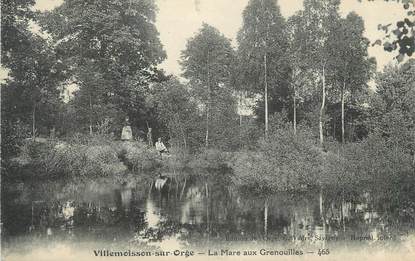 CPA FRANCE 91 " Villemoisson sur Orge, mare aux grenouilles "