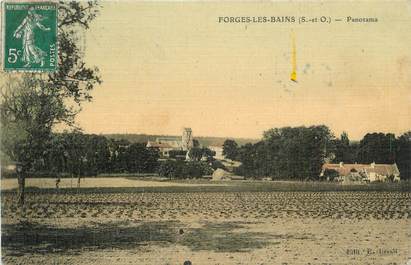 CPA FRANCE 91 " Forges les Bains "