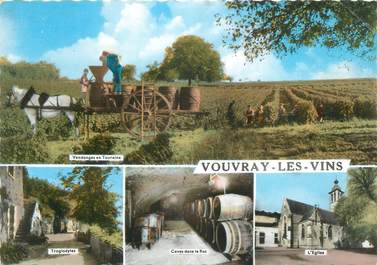 CPSM FRANCE 37 " Vouvray les Vins " / VENDANGES