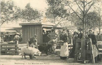 CPA FRANCE 27 " Le Neubourg, le marché aux porcs "
