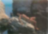 Nu / Érotisme CPSM NU / NATURISME
