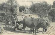 87 Haute Vienne CPA FRANCE 87 " Notre Limousin, attelage "