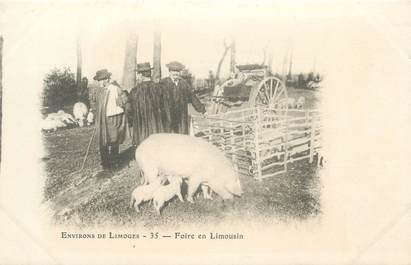 CPA FRANCE 87 " Foire en Limousin "