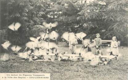 CPA FRANCE 77 "Coulommiers, lacher de pigeons voyageurs"