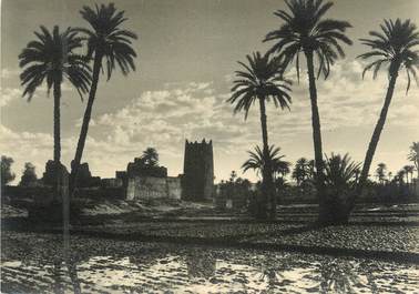 CPSM / PHOTO MAROC "Tagounit, région de Marrakech"