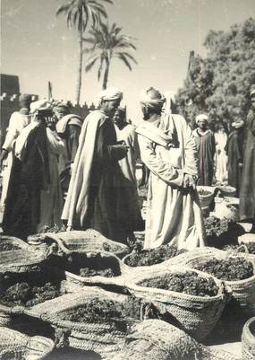 CPSM / PHOTO MAROC "Erfoud, le Marché des Dattes"