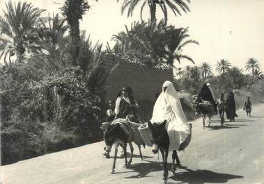 CPSM / PHOTO MAROC "Erfoud, groupe de femmes se rendant au souk"