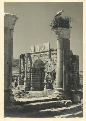 CPSM / PHOTO LE MAROC ARTISTIQUE / Ed. ART MAROC "Volubilis, l'Arc de Triomphe"