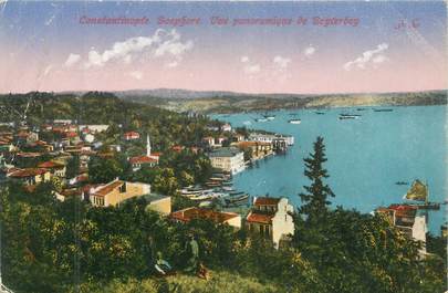 CPA TURQUIE "Constantinople"