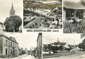 45 Loiret / CPSM FRANCE 45 "Sainte Geneviève des Bois"