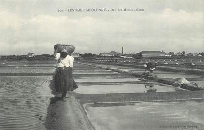 CPA FRANCE 85 "Les Sables d'Olonne, dans les Marais Salants"