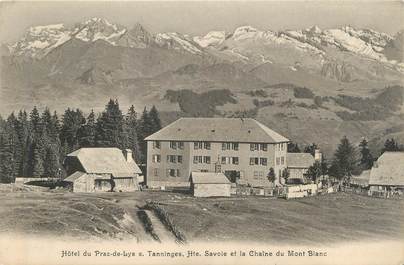 CPA FRANCE 74 "Hôtel du Praz de Lys"