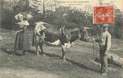 / CPA FRANCE 14 "Scène de vie Normande" / VACHE