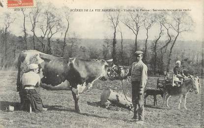 / CPA FRANCE 14 "Scène de le vie Normande" / VACHE