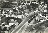 49 Maine Et Loire / CPSM FRANCE 49 "Montsoreau, vue générale"