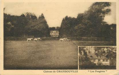 CPA FRANCE 76 "Chateau de Graimbouville"