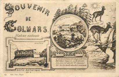 CPA FRANCE 04 "Souvenir de Colmars"