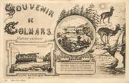 04 Alpe De Haute Provence CPA FRANCE 04 "Souvenir de Colmars"