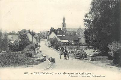 / CPA FRANCE 45 "Cernoy, entrée route de Châtillon"