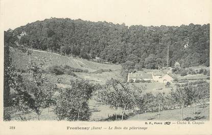 / CPA FRANCE 39 "Frontenay, le bois du pélérinage"