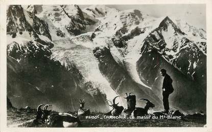 / CPSM FRANCE 74 "Chamonix, le massif du Mont Blanc" / CHEVRE