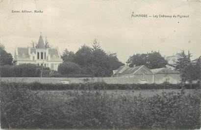 / CPA FRANCE 17 "Aubagne, les châteaux du Pigneaud"