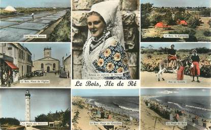 / CPSM FRANCE 17 "Ile de Ré, le Bois"