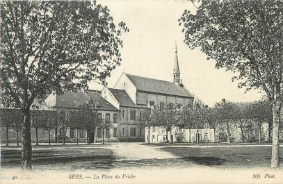 / CPA FRANCE 61 "Sées, la place du Friche"