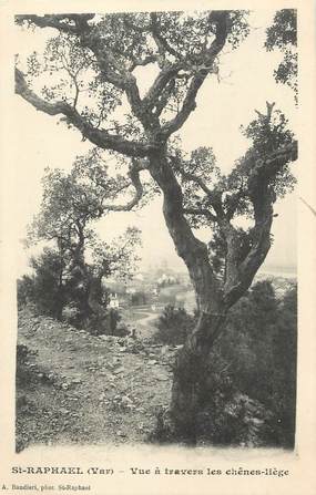 / CPA FRANCE 83 "Saint Raphaël, vue à travers les chênes liège"