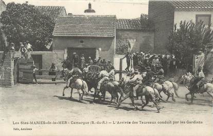 CPA FRANCE 13 " Saintes Maries de la Mer, arrivée des taureaux conduit par les Gardians "