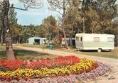 14 Calvado CPSM FRANCE 14 "Saint Thurial, le camping"