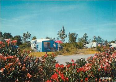 / CPSM FRANCE 34 "Vias sur Mer, camping Fleuri"