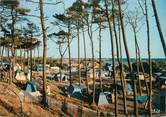 34 Herault / CPSM FRANCE 34 "La Tamarissière, le terrain de camping"