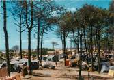 34 Herault / CPSM FRANCE 34 "La Tamarissière, le camping"