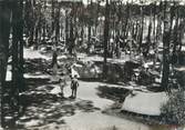 34 Herault / CPSM FRANCE 34 "Le Grau d'Agde, bois de la Tamarissière" / CAMPING