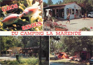 / CPSM FRANCE 66 "Argelès sur Mer, camping La Marende "