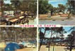 / CPSM FRANCE 83 "Hyères, la Capte" / CAMPING