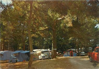 CPSM FRANCE 85 "Jard sur Mer, camping municipal"